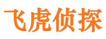 滦平资产调查